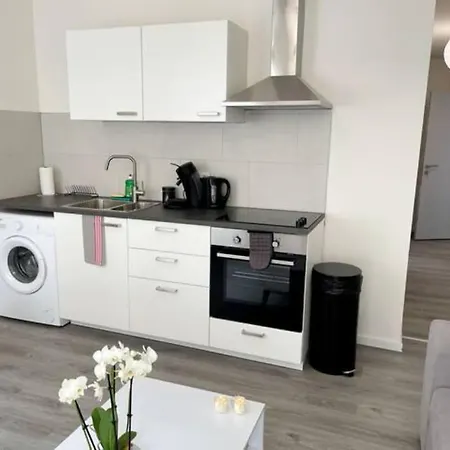 Rc1d - F2 Pour 1 A 3 Personnes * Mulhouse
